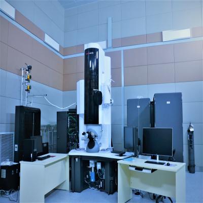 环境透射电子显微镜